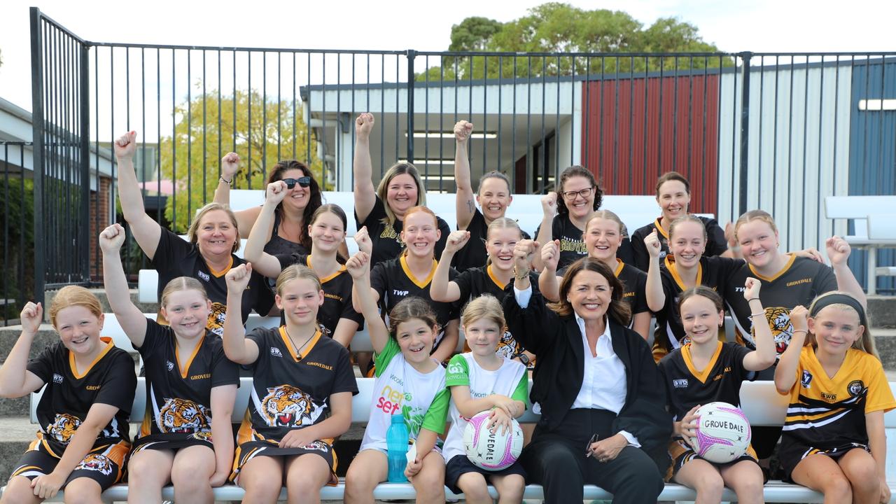 Duelling bids from Labor and Libs for Grovedale netball courts