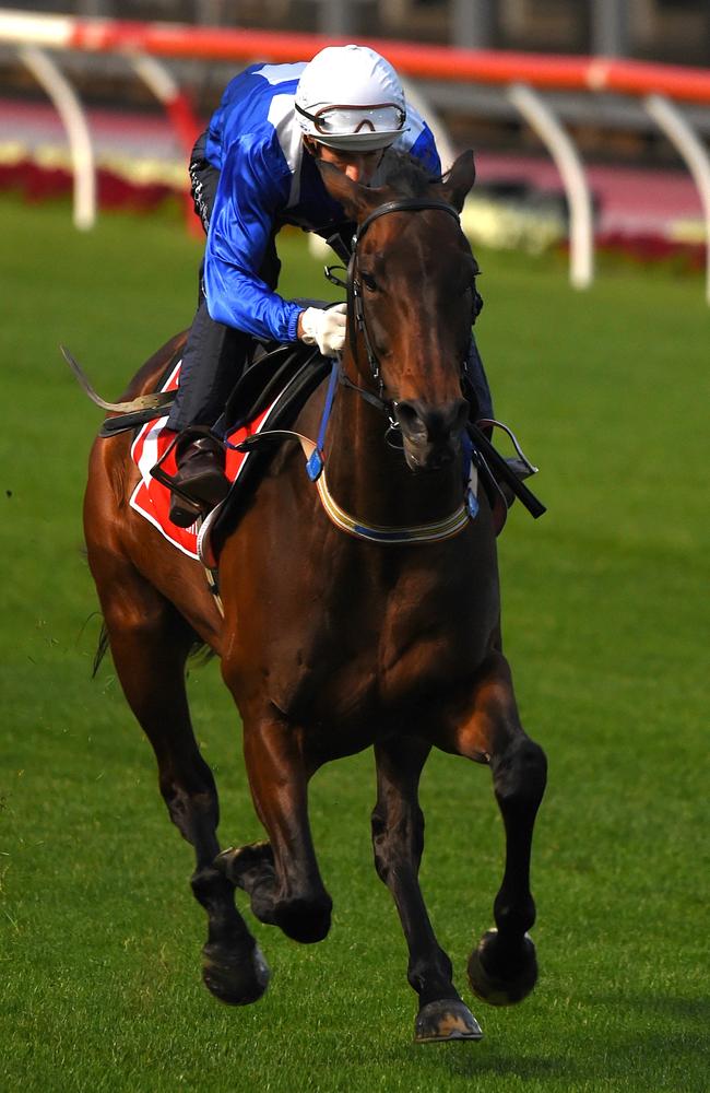 Where other horses might fight the bit and flail at the ground, Winx floats over it. Picture: Nicole Garmston