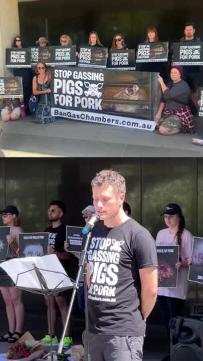 Vegan activists dump dead piglets outside Jacinta Allan’s office