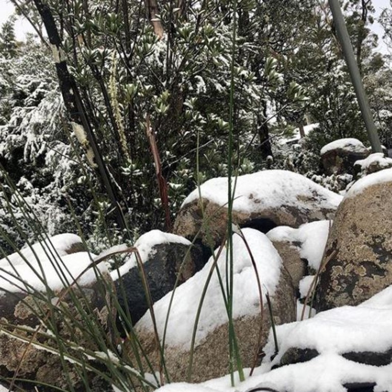 Snow in Cradle Mountain. Picture: @wildernessvillage