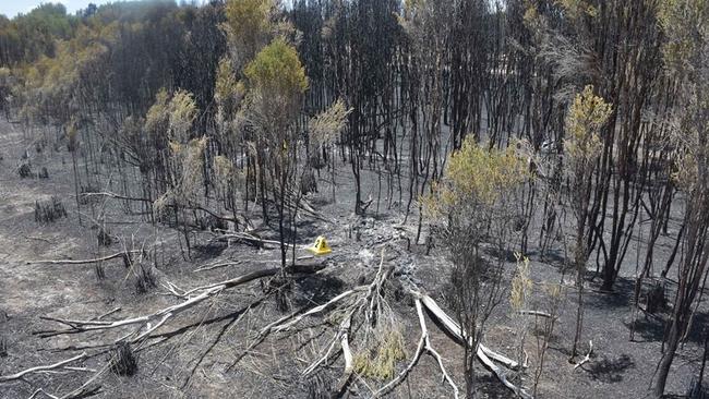 The Keilira fires burned through 25,000ha on December 30-31. Source: Kingston Council District