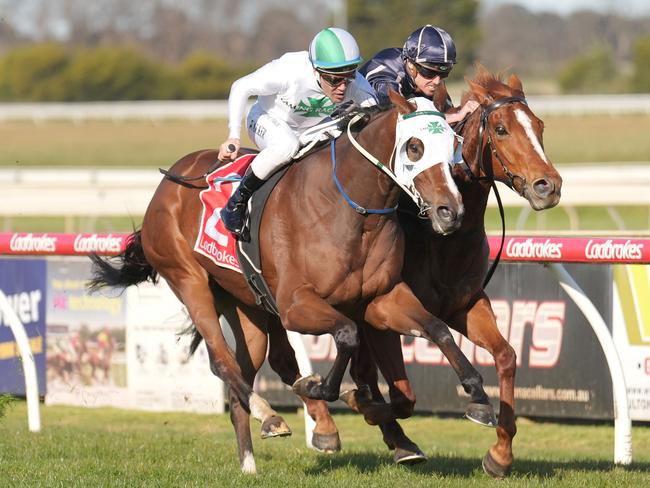 Pure Deal ridden by Michael Walker wins the Centra Powder Coating BM64 Handicap at Sale Racecourse on July 24, 2022 in Sale, Australia. (Scott Barbour/Racing Photos via Getty Images)