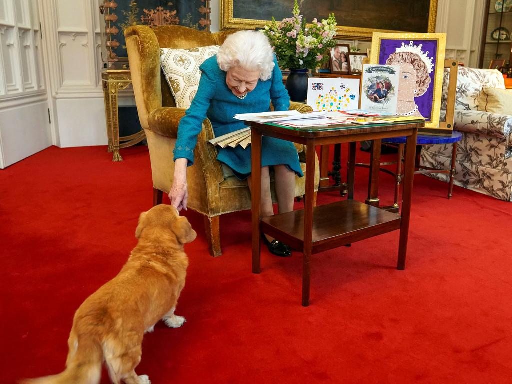 The Queen with one of her corgis in January 2022 in the Oak Room at Windsor Castle. Picture: Steve Parsons / POOL / AFP