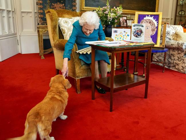 The Queen with one of her corgis in January 2022 in the Oak Room at Windsor Castle. Picture: Steve Parsons / POOL / AFP