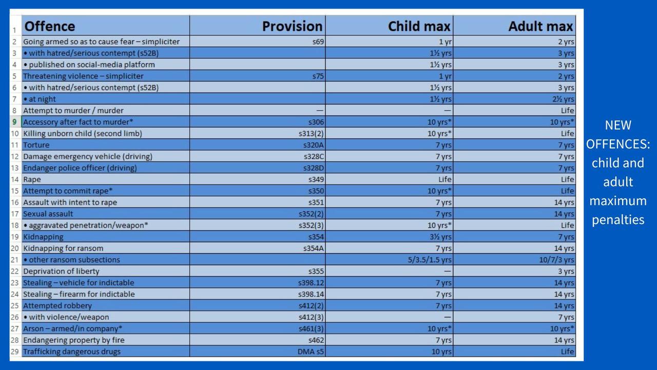 The offences and the new penalties that will be debated in parliament this week.