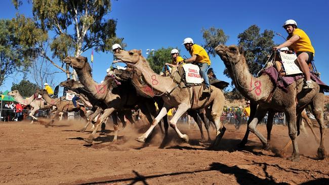 The Camel Cup in Alice Springs is held each July. Picture: Chloe Geraghty