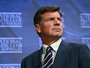 CANBERRA, AUSTRALIA - MAY 17: Shadow treasurer Angus Taylor gives his post budget reply address at the National Press Club in Canberra. Picture: NCA NewsWire / Martin Ollman