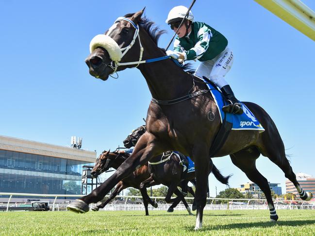 Reach The Peak ridden by Linda Meech wins the Sportsbet Racing Form Plate at Caulfield Heath Racecourse on December 18, 2024 in Caulfield, Australia. (Photo by Pat Scala/Racing Photos via Getty Images)