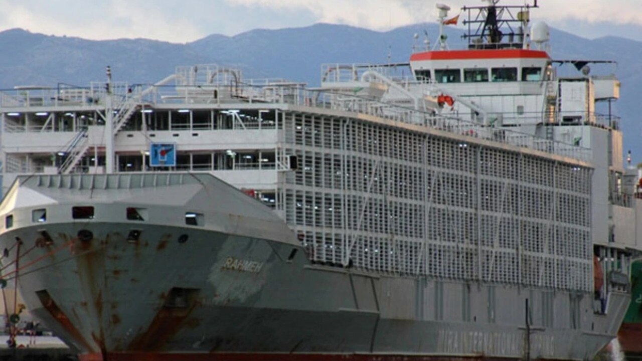 The live cattle ship Gulf Livestock 1 which is missing in the South China Sea with a cargo of 5800 cattle and a crew of 43 including two Australians.