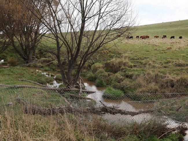 But the Enviornment Minister refused to allow a $1bn gold mine in NSW to go ahead because of Indigenous heritage claims about the Belubula River. Picture: Rohan Kelly