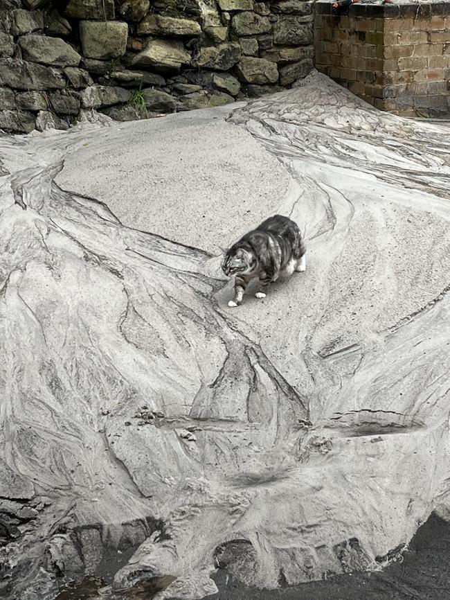 Sand that escaped from the golf course into the yard of a property in Bondi.