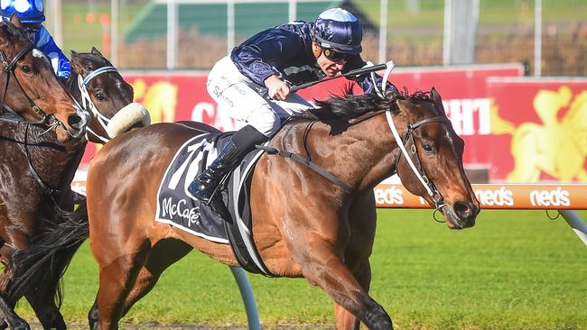 Outback Miss is a top chance to post a second-up win at the inaugural meeting on the Caulfield Heath track on Wednesday. Picture: Racing Photos via Getty Images