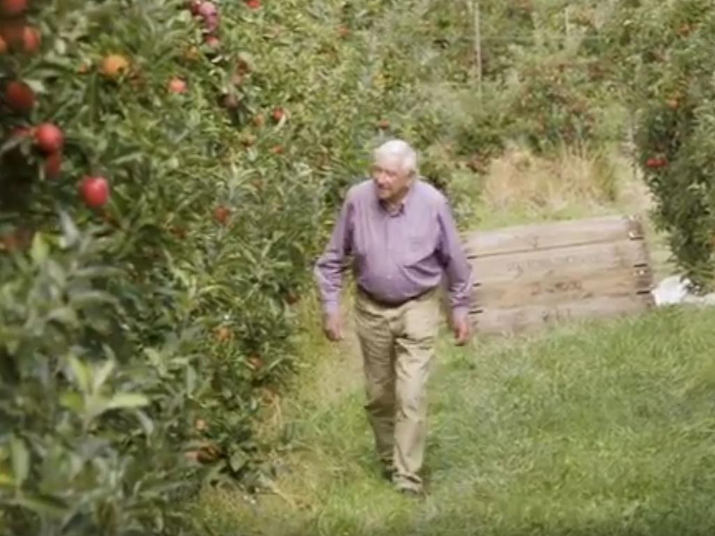 Cam Stafford of Stafford Orchards said the region’s producers were devastated.