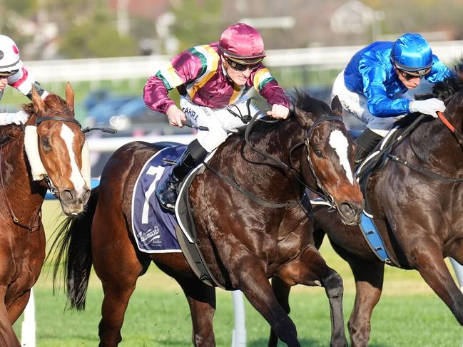 Gentleman Roy ridden by Mark Zahra wins the Catanach's Jewellers P.B. Lawrence Stakes at Caulfield Racecourse on August 17, 2024 in Caulfield, Australia. (Photo by Scott Barbour/Racing Photos via Getty Images)