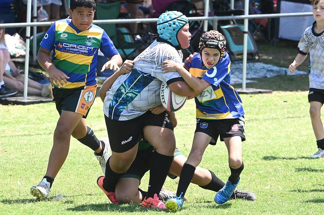 Pacific Youth Rugby Festival in Albany Creek Saturday October 19, 2024. Picture, John Gass