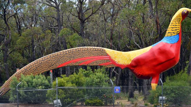 Gumbuya World will open on December 18 to public | Herald Sun