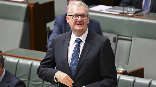 Home Affairs Minister Tony Burke. Picture: Martin Ollman