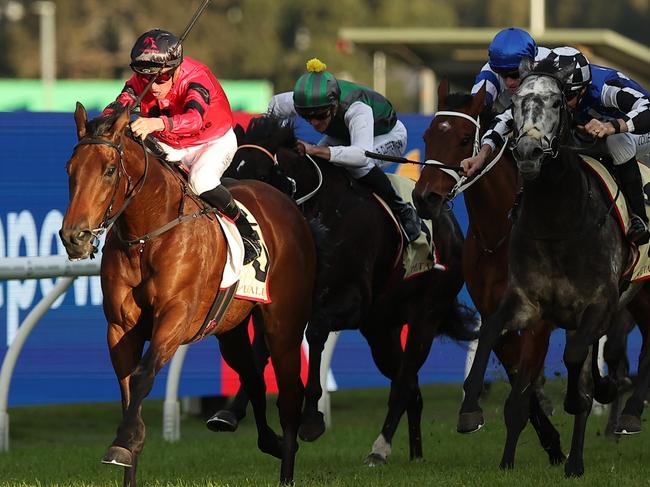 SYDNEY, AUSTRALIA - JUNE 29: Nash Rawiller riding Bear On The Loose wins Race 10 Petaluma during "McKell Cup Day" - Sydney Racing at Rosehill Gardens on June 29, 2024 in Sydney, Australia. (Photo by Jeremy Ng/Getty Images)