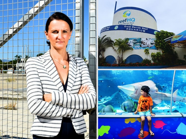 claudia tel reef hq campaign