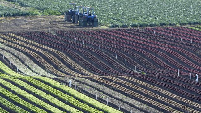 East Gippsland’s Mitchell River vegetable irrigators will get access to another 4000ML of winter-fill licence.