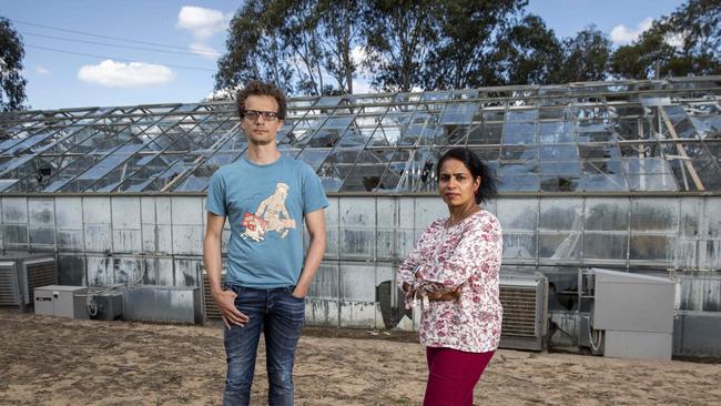 CSIRO crop and yeast scientist Thomas Vanhercke and researcher Sapna Pillai survey the hailstorm damage. Picture: Sean Davey