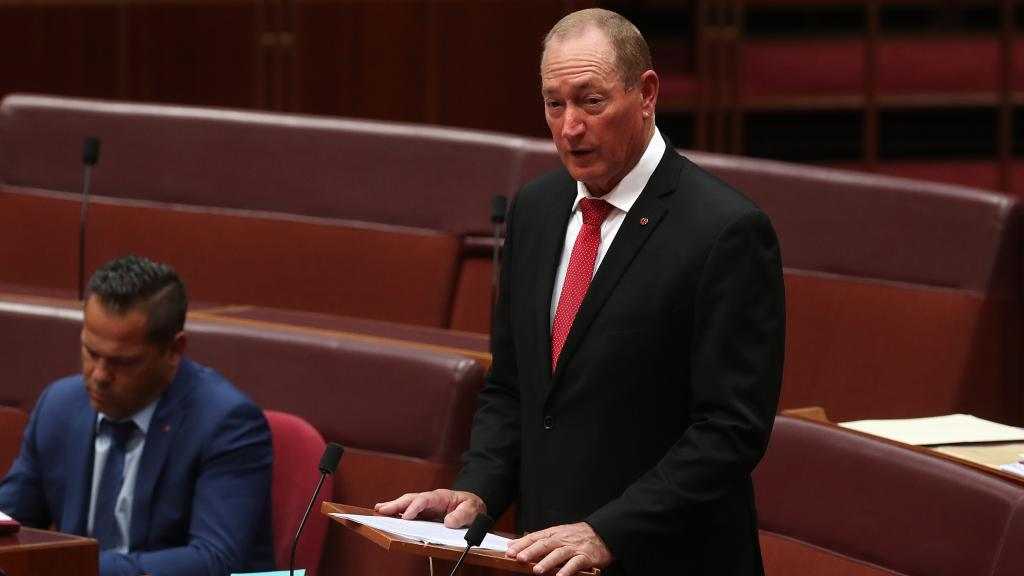 'CRIMSON THREADS': Senator Fraser Anning during his first speech to the Senate on Tuesday evening.