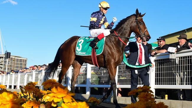 Tofane and Craig Williams combined for a Group 1 double during the Brisbane winter. Picture: Grant Peters — Trackside Photography