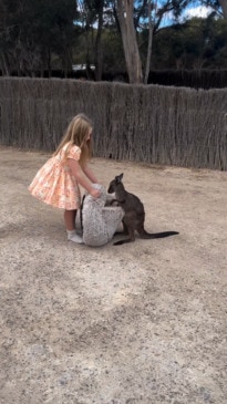 Orphaned kangaroo's heart-melting bond with 7yo girl