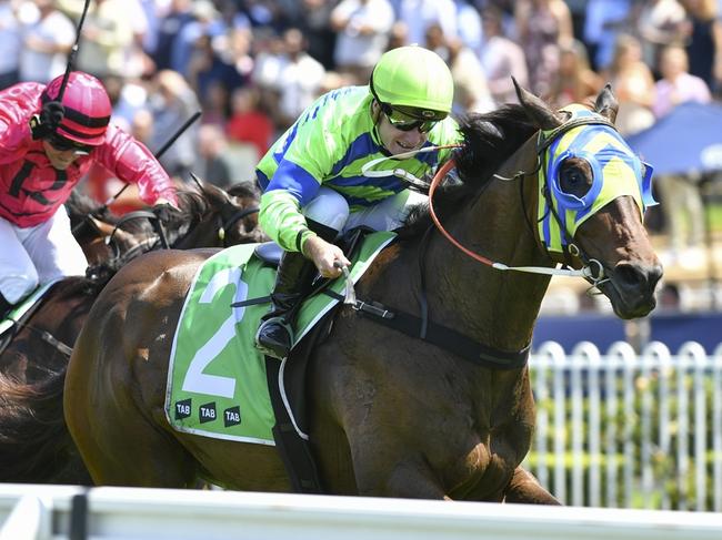 The Dramatist heads to Narramine for the Diggers Cup. Picture: Bradley Photos