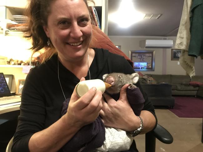 Thanks A Million: Yolandi Vermaak from the ACT has been honoured for her volunteering work helping to save at-risk wombats. Picture: supplied