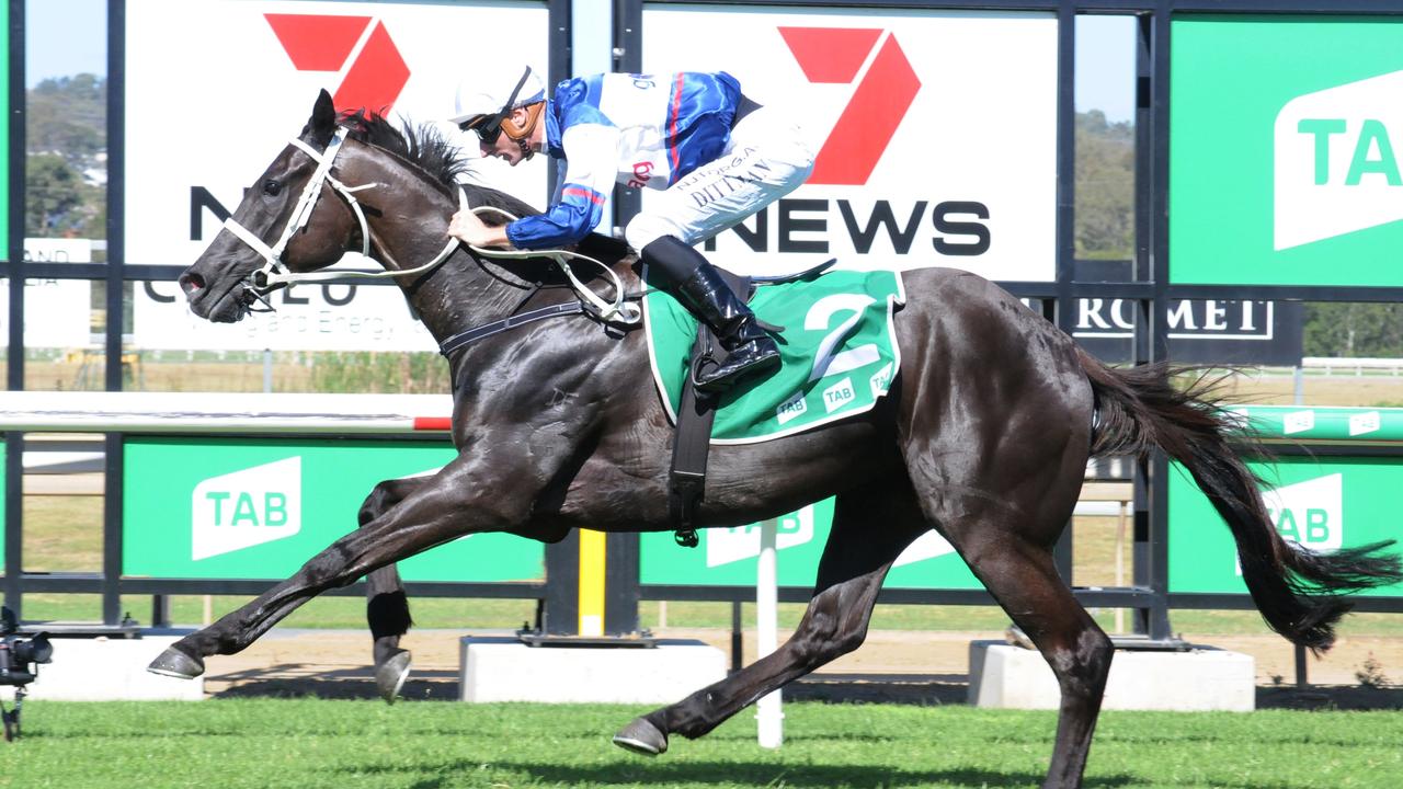 Ipswich winner Sacred Suite, ridden by Luke Dittman and trained by Chris Waller. Picture: Claire Power