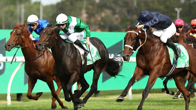 Marhoona winning the 2025 Golden Slipper at Rosehill. Picture: Getty Images