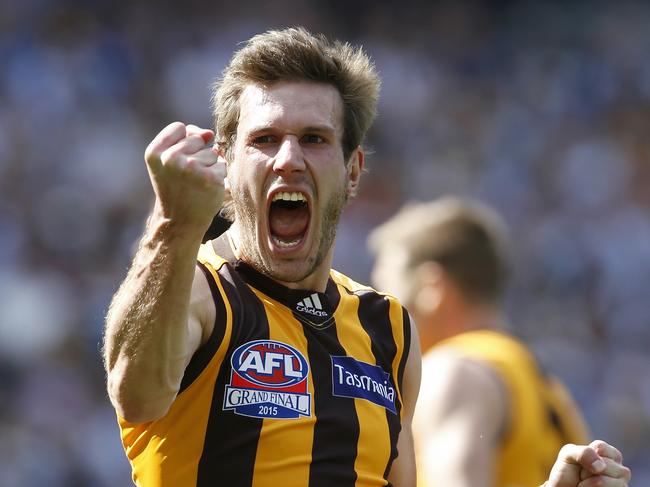 2015 AFL Grand Final. Hawthorn vs West Coast Eagles at the MCG. Hawthorns Grant Birchall celebrates 1st qtr goal  . Pic: Michael Klein. Saturday October 3, 2015.