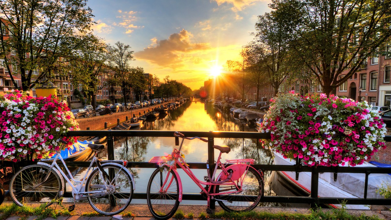 <h2><span>Bike Amsterdam</span></h2><p><span>Garlanded with canals and with bike lanes throughout the centre, few cities are more suited for a peddle. We&rsquo;d suggest heading to Vondelpark to get your two-wheeled confidence up before winding your way to Prinsengracht and its elegant 17th century canal houses. For something a bit more structured, this two-hour tour costs just over $50 and includes bike hire. But a quick word of warning - please think twice before sampling the wares of one of Amsterdam&rsquo;s famous &lsquo;cafes&rsquo;&nbsp; then jumping on a bike.</span></p><p class="button-common"><a title="https://travel.escape.com.au/activities/bills-bike-tour-top-rated-and-safest-bike-tour-in-amsterdam-100122294" href="https://travel.escape.com.au/activities/bills-bike-tour-top-rated-and-safest-bike-tour-in-amsterdam-100122294" target="_blank" data-cta="https://travel.escape.com.au/activities/bills-bike-tour-top-rated-and-safest-bike-tour-in-amsterdam-100122294" data-editable="true">Book here</a></p><p>&nbsp;</p><p>&nbsp;</p>