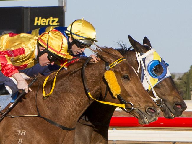 XXXX Gold Kalgoorlie Cup Race Meet - 20/09/14 Kalgoorlie-Boulder Eddie Creighton onboard #6 True Gold (outside) edges out Friarday (Shaun McGruddy) to win the 2014 Kalgoorlie Cup. Photo: TRAVIS ANDERSON