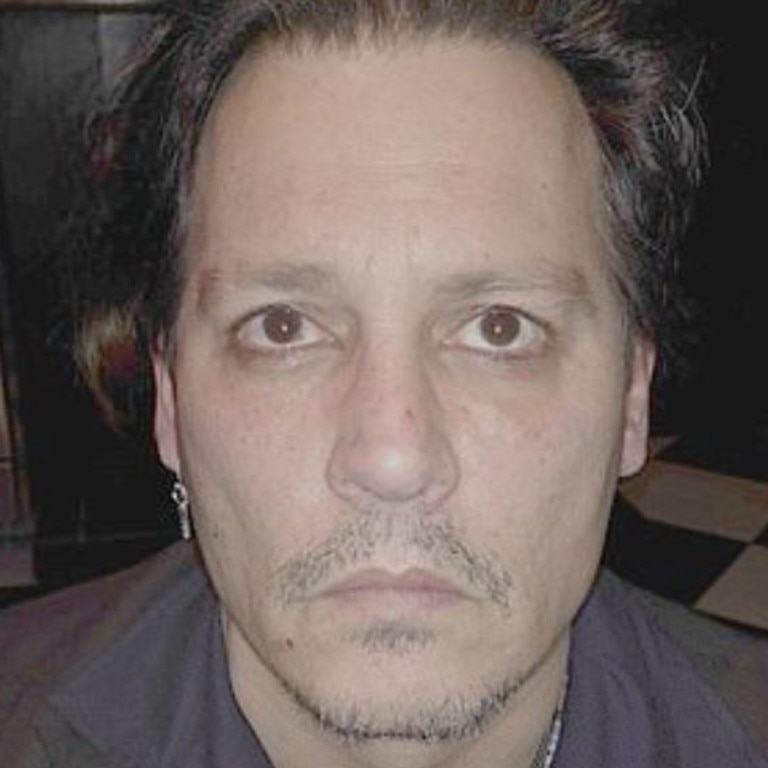 A photo of Depp submitted to the court.