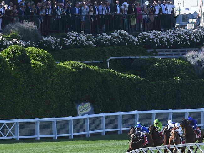 Racegoers watch as Winx leads the field into the home straight. Picture: AAP