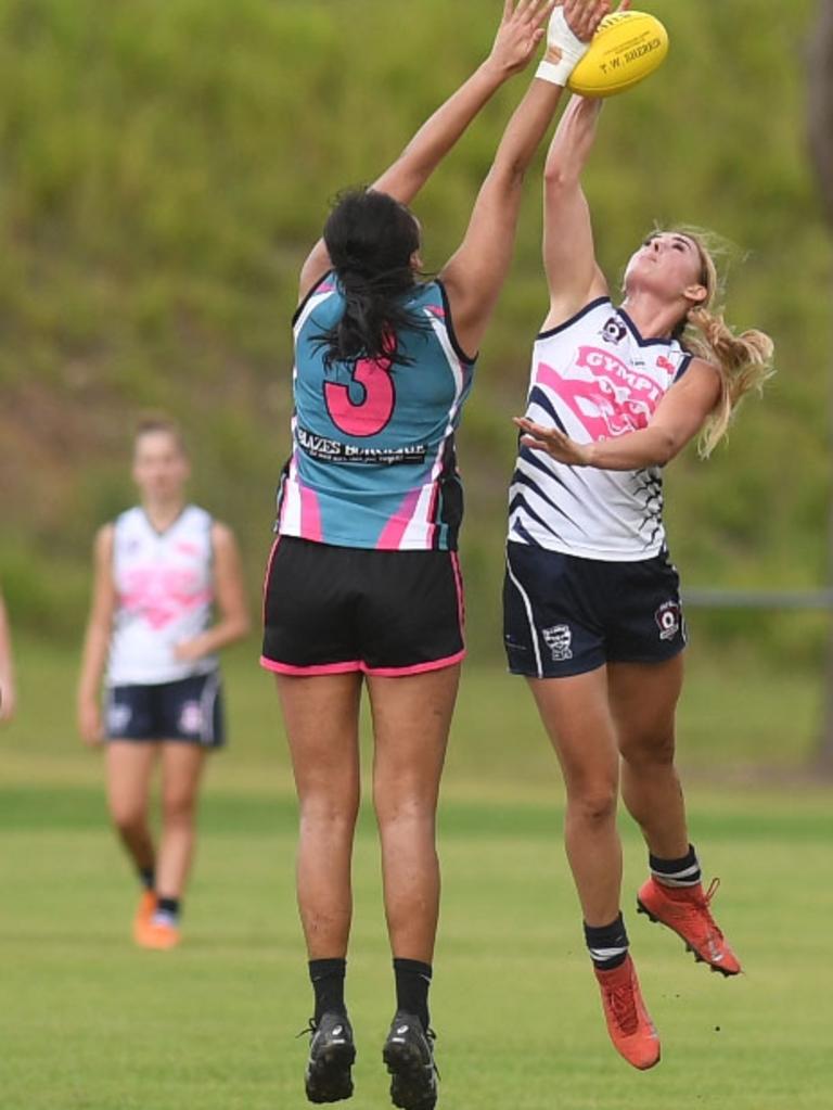 Gympie Cats vs Bay Power- Taylor Jardine