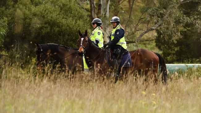 Police conducted a mounted search in Avondale Heights looking for clues. Picture: David Smith