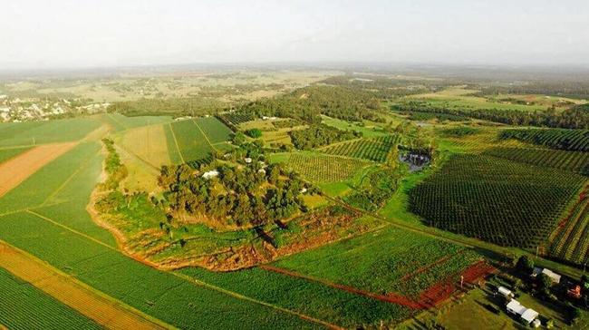 FARMING LAND: 81 Rankin Rd shares a boundary with 115 Lucketts Rd providing a rare opportunity for crop growers. Picture: Contributed