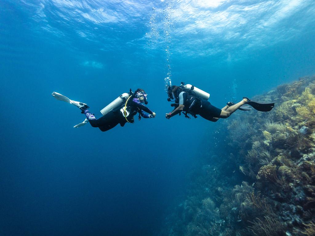 Dive the best spots in Fiji The Australian