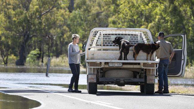 Farmer David Earl and his wife Susan inspect the water level across a road just south of their property outside of Forbes. Picture: Gary Ramage