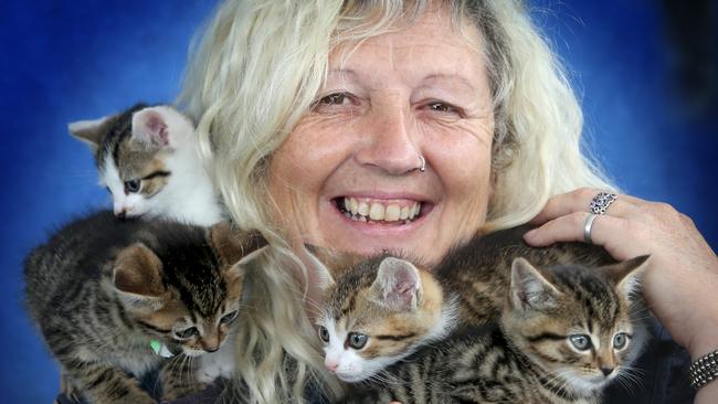 GAWS Geelong Animal Welfare Society fights back to slash crippling $800k  debt | Geelong Advertiser
