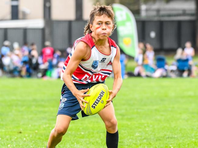 Pauli Lago of the Wollongong Devils. Picture: Wollongong Devils