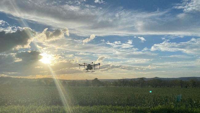 Drones are used to spread and spray crops as well as bait mice. Photo/ Contributed