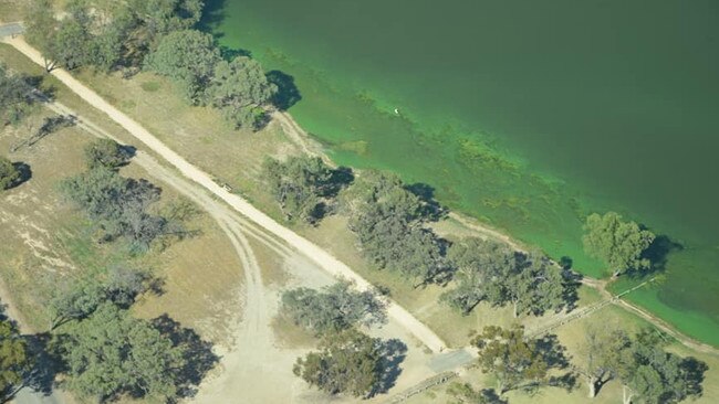 Lake Bonney on January 1, 2023. Picture: Simon Rathbone / Facebook