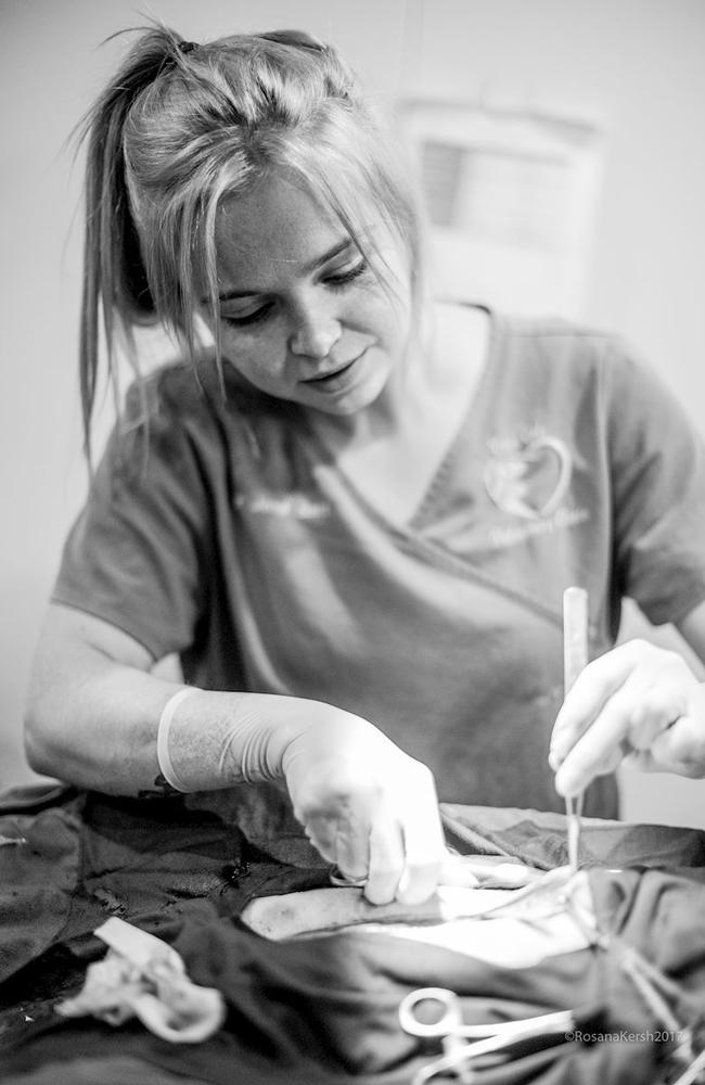 Gold City Vets veterinarian and director Jess Batt