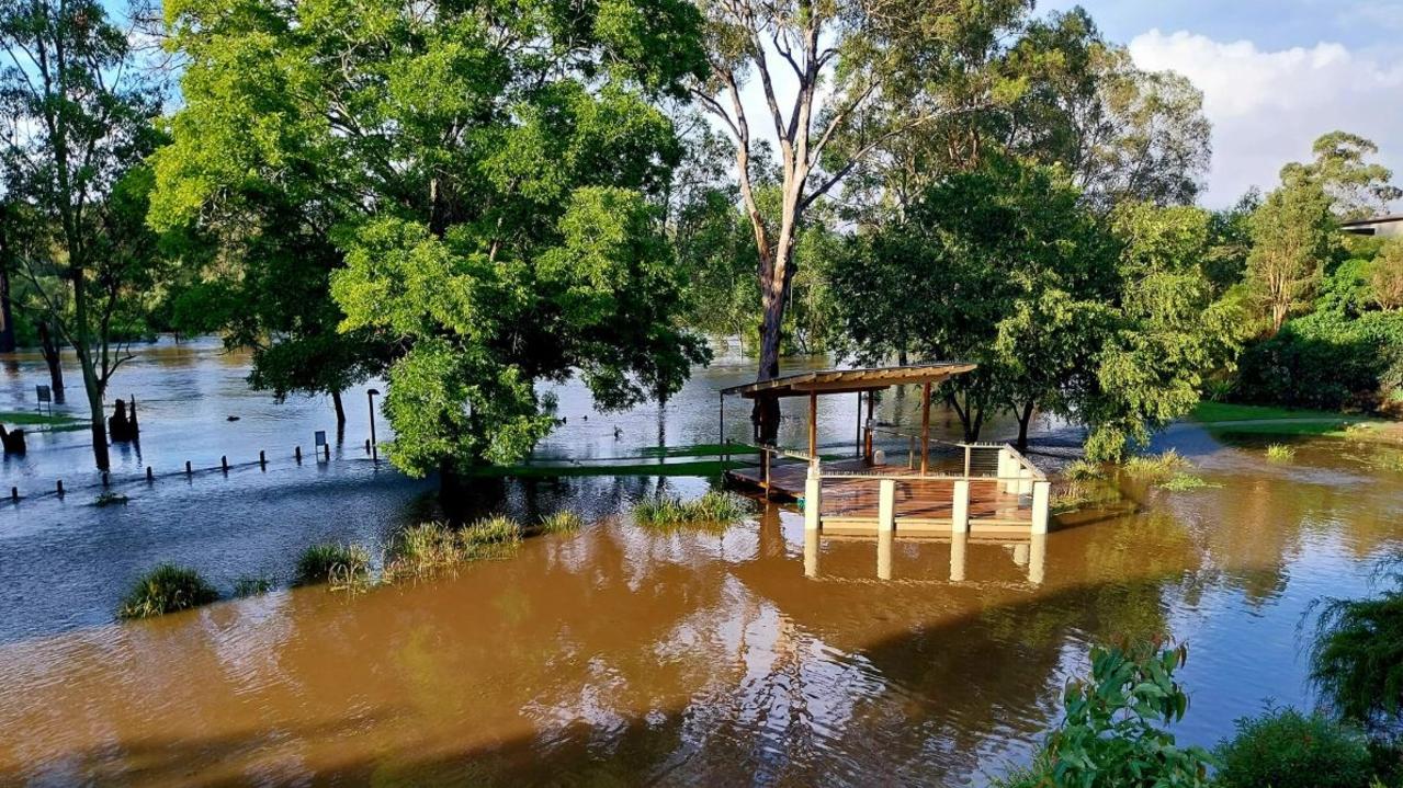 Sweeney Reserve at Petrie. Picture: Peggy Edwards