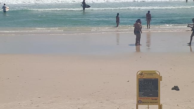 Beachgoers were still happy to swim at Main Beach Byron Bay just hours after a man was bitten by a shark. 