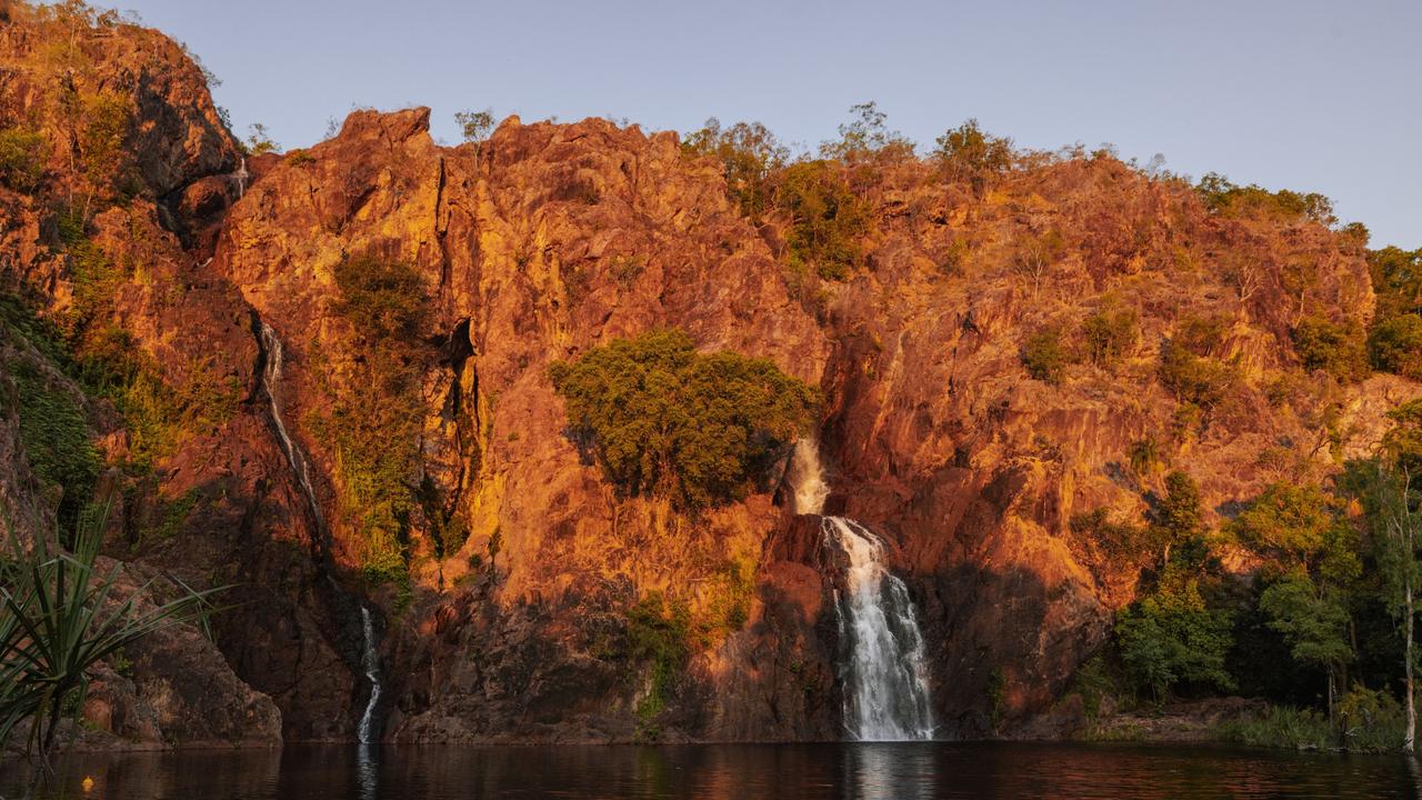 Govt takes ‘decisive action’ against ‘invasive weed’ at treasured Top End park